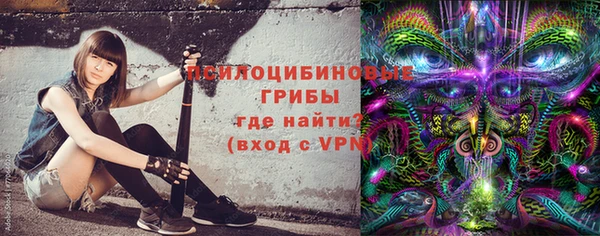 прущие крисы Абаза