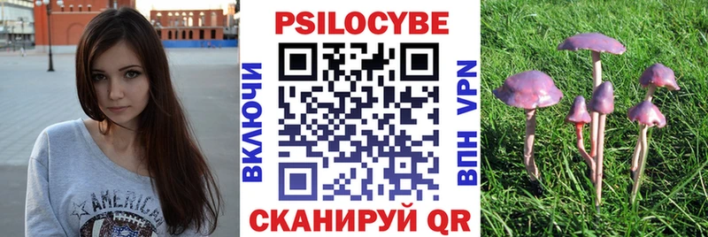 Галлюциногенные грибы мицелий  Энгельс 